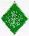 Scottish Thistle on Green